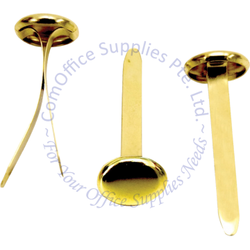 ROUND HEAD FASTENER 38MM (100s)