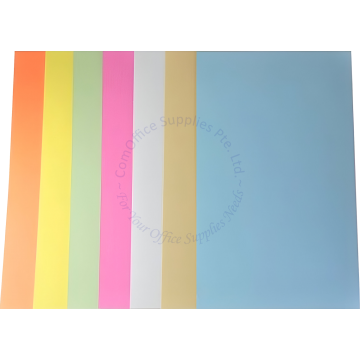 VANGUARD SHEET 20x25" BEIGE