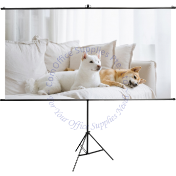 DELI PROJECTOR SCREEN ES903 100" 2.2x1.24M (ASPECT RATIO 16:9)