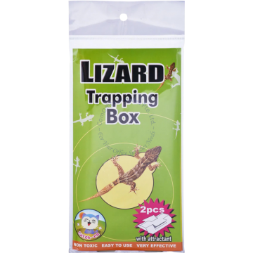 CATCH-EM LIZARD TRAPPING BOX (2s)